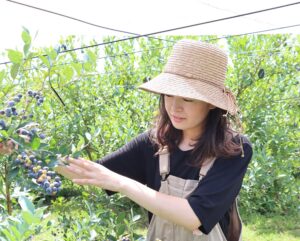山田夏実さん　ブルーベリー農園