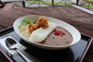 亀山ダムカレー