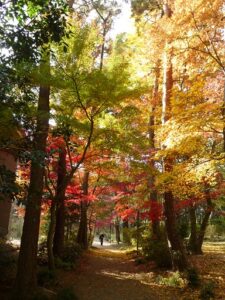 2023年秋「日立庭園」一般公開！12月9日（土）【我孫子市】