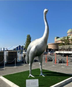 【我孫子市】でっかい鳥！高さ3.6メートル　鳥の博物館を見つめるジャイアント・モア