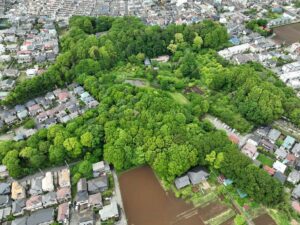 【柏市】里山の自然が残る「下田の杜」柏市初の「自然共生サイト」認定