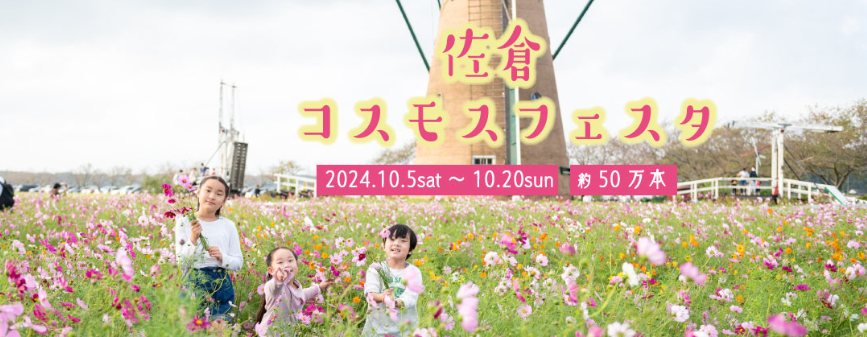 佐倉コスモスフェスタ
