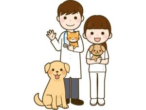 (株)地域新聞社 おしごと紹介
